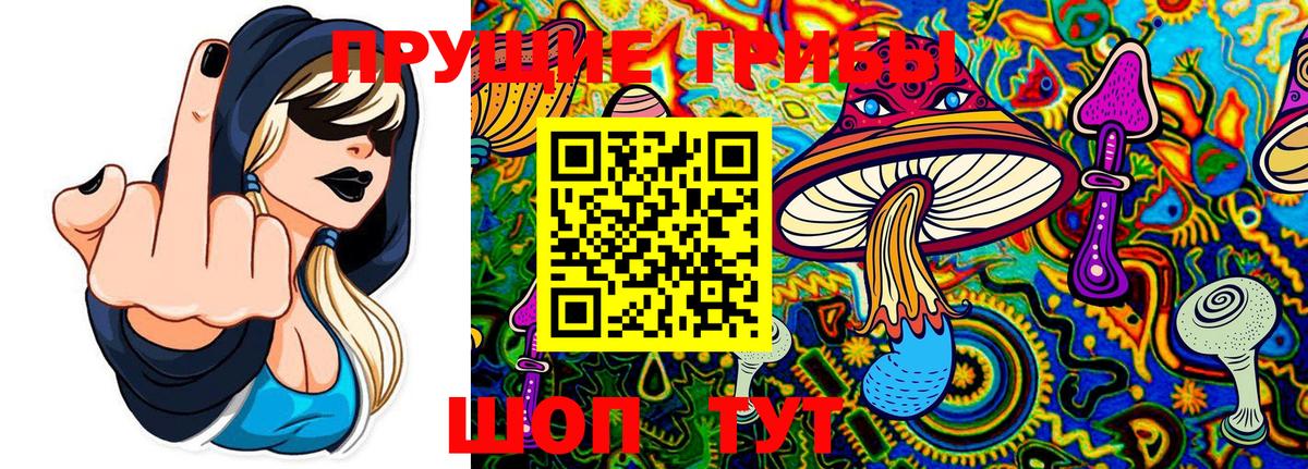 Сосновый Бор  наркота  Вход с VPN  Псилоцибиновые грибы Psilocybe  Галлюциногенные грибы Cubensis 